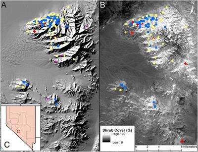 Variation in diet of desert bighorn sheep (Ovis canadensis nelsoni): Tradeoffs associated with parturition